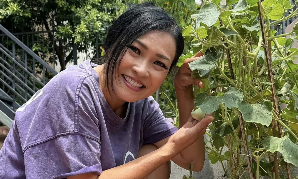 Thưởng tân thủ JUN88 và cảm hứng sống xanh từ vườn rau sân thượng của Phương Thanh - hình ảnh - jun88play.vip Thưởng tân thủ JUN88 và cảm hứng sống xanh từ vườn rau sân thượng của Phương Thanh - hình ảnh - jun88play.vip