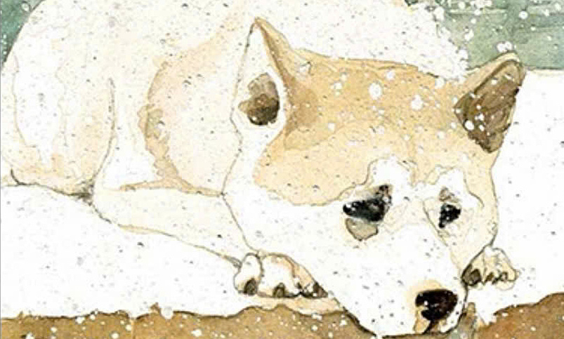 Đăng nhập JUN88 và cảm nhận câu chuyện xúc động về lòng trung thành trong ‘Hachiko, chú chó đợi chờ’ - hình ảnh - jun88play.vip Đăng nhập JUN88 và cảm nhận câu chuyện xúc động về lòng trung thành trong ‘Hachiko, chú chó đợi chờ’ - hình ảnh - jun88play.vip