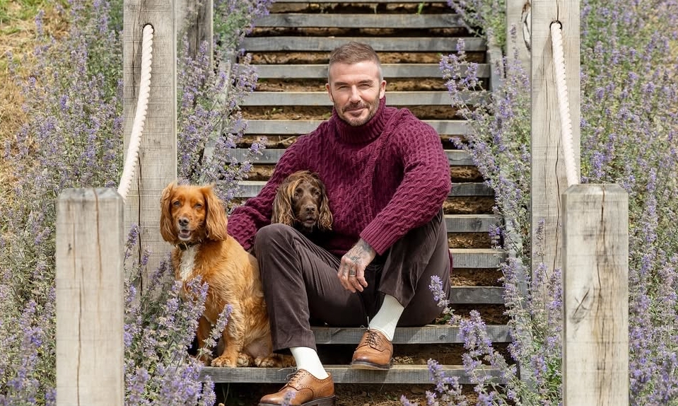 Phong Cách Mặc Giàu Ngầm Của David Beckham Và Gợi Ý Giải Trí Đẳng Cấp Từ JUN88 - hình ảnh - jun88play.vip Phong Cách Mặc Giàu Ngầm Của David Beckham Và Gợi Ý Giải Trí Đẳng Cấp Từ JUN88 - hình ảnh - jun88play.vip